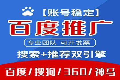 行业专家解析SEM代运营成功案例