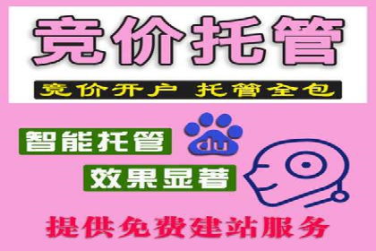短视频平台的SEM营销推广策略及效果